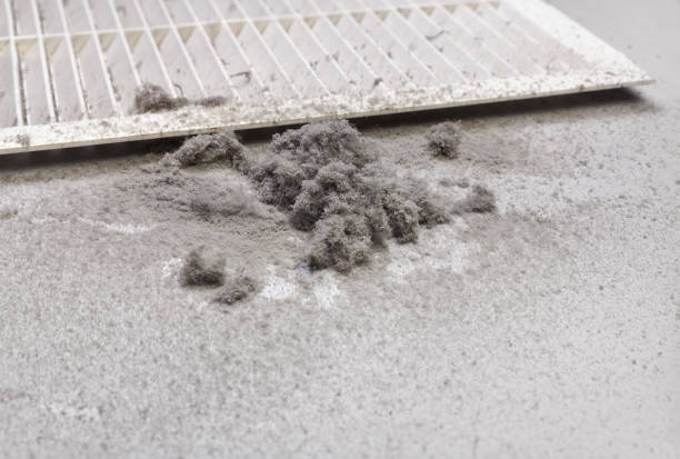 Best Home Air Vent Cleaning  in Lake Shore, UT