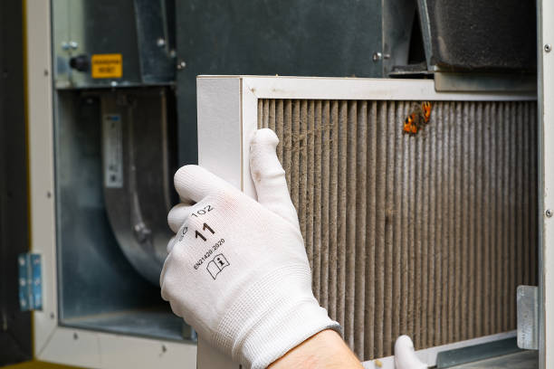 Best Affordable Air Duct Cleaning  in Lake Shore, UT